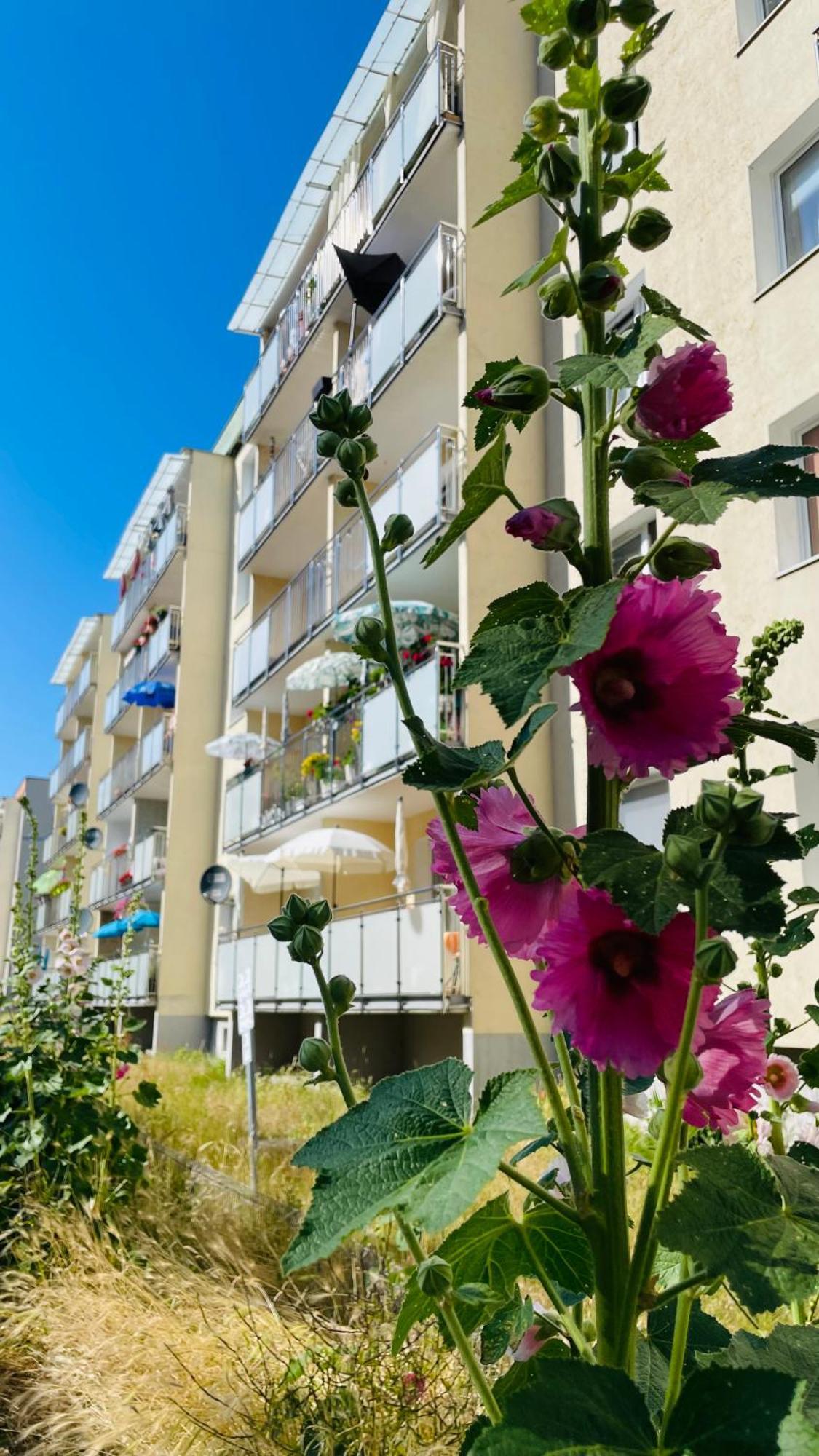 Zatoka Spokoju Apartment *
